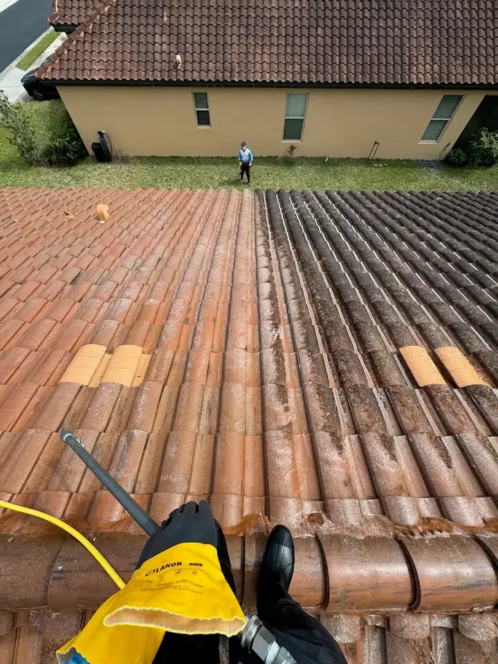 Exterior cleaning results in Maitland, Florida